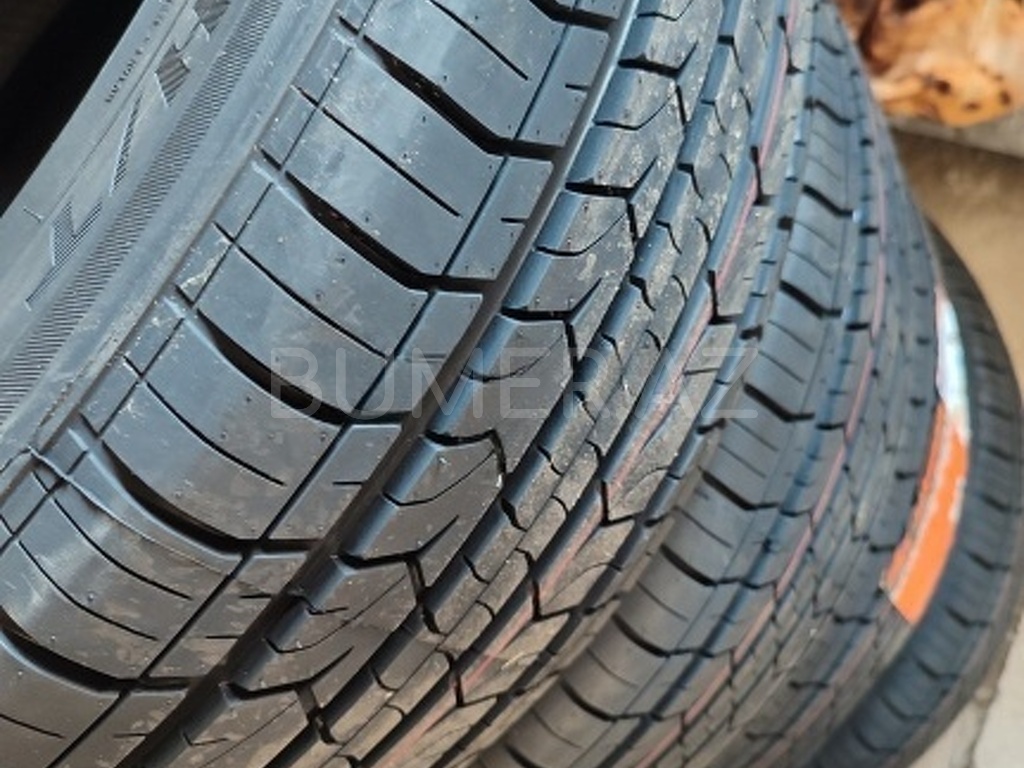 Şinlər və disklər, 235 55 R19 təkərləri