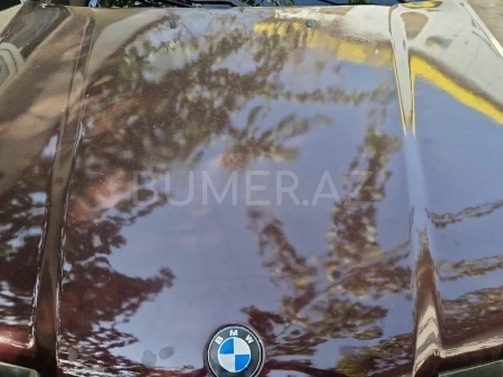 Ban-Kuza hissələr  BMW, "BMW" kapotu