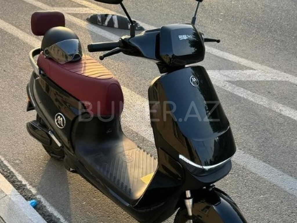 Moped, 2025
