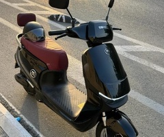 Moped, 2025