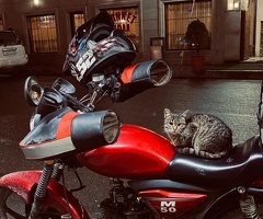 Motosiklet, 2024, 0.05L, 9000 km