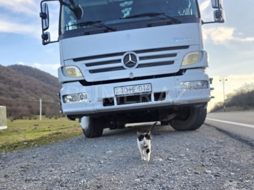 Atego 1218 , 2008, 4.7L, 217441 km, Mexanika