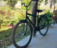 Velosiped