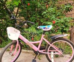 Velosiped