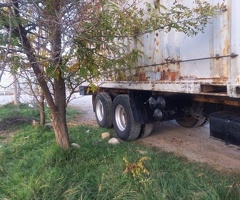 5320 , 1989, 11L, 195000 km, Mexanika