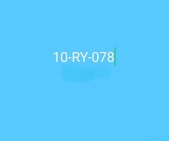 10-RY-078