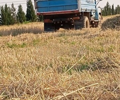 53, 1990, 4.3L, 758130 km, Mexanika