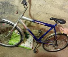Velosiped