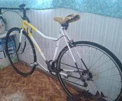 Velosiped