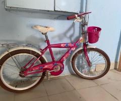 Velosiped
