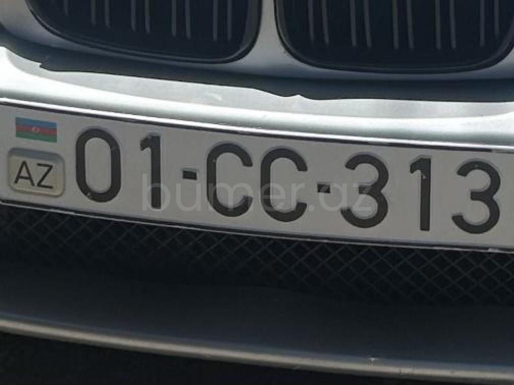 01-CC-313