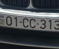 01-CC-313