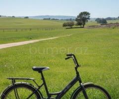 Velosiped