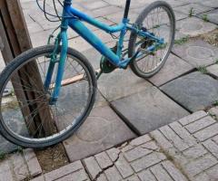 Velosiped