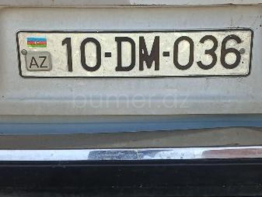 10-DM-036