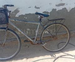 Velosiped