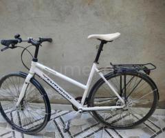 Velosiped