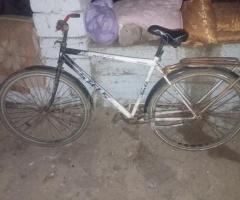 Velosiped