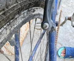Velosiped