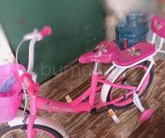 Velosiped