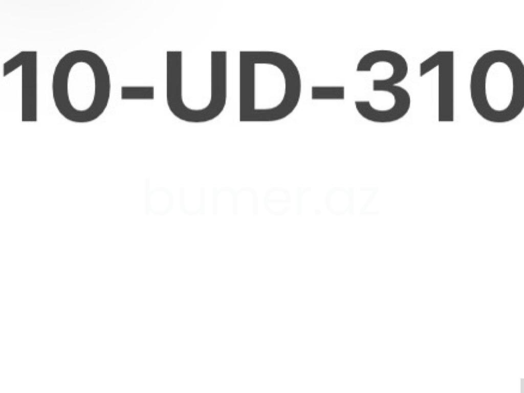 10-UD-310