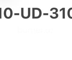 10-UD-310