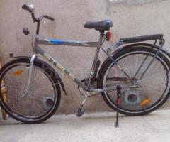 Velosiped