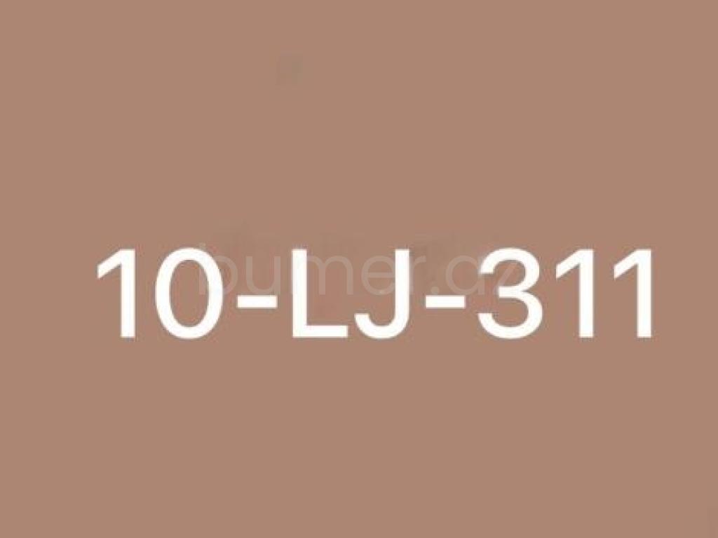 10-LJ-311
