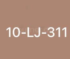 10-LJ-311