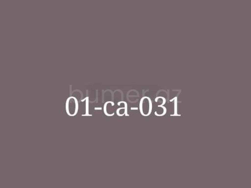 01-CA-031