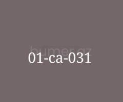 01-CA-031
