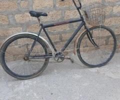 Velosiped