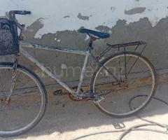 Velosiped