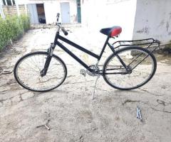 Velosiped