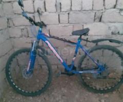 Velosiped