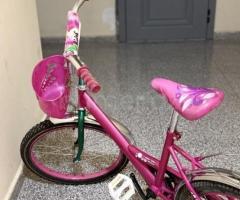 Velosiped