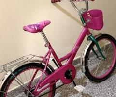 Velosiped