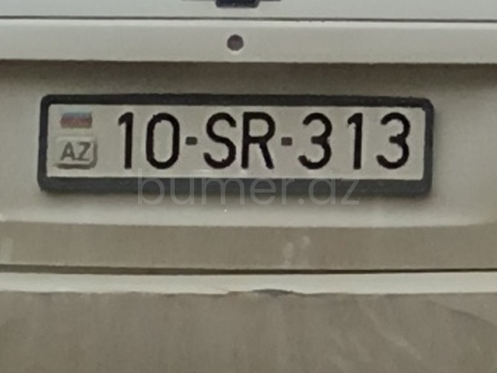 10-SR-313