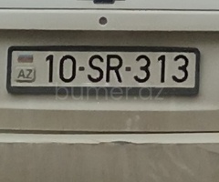 10-SR-313