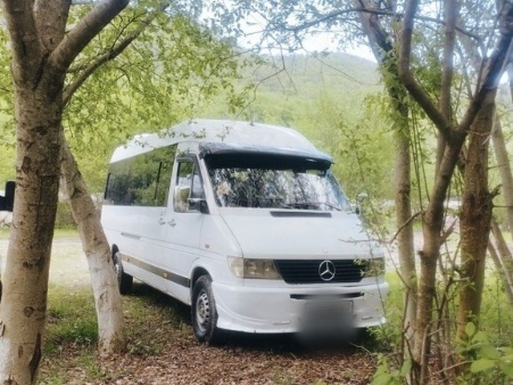 Mercedes Sprinter Sprinter 313 1999 Dizel 175 362500 km Mikroavtobuslar Mexanika