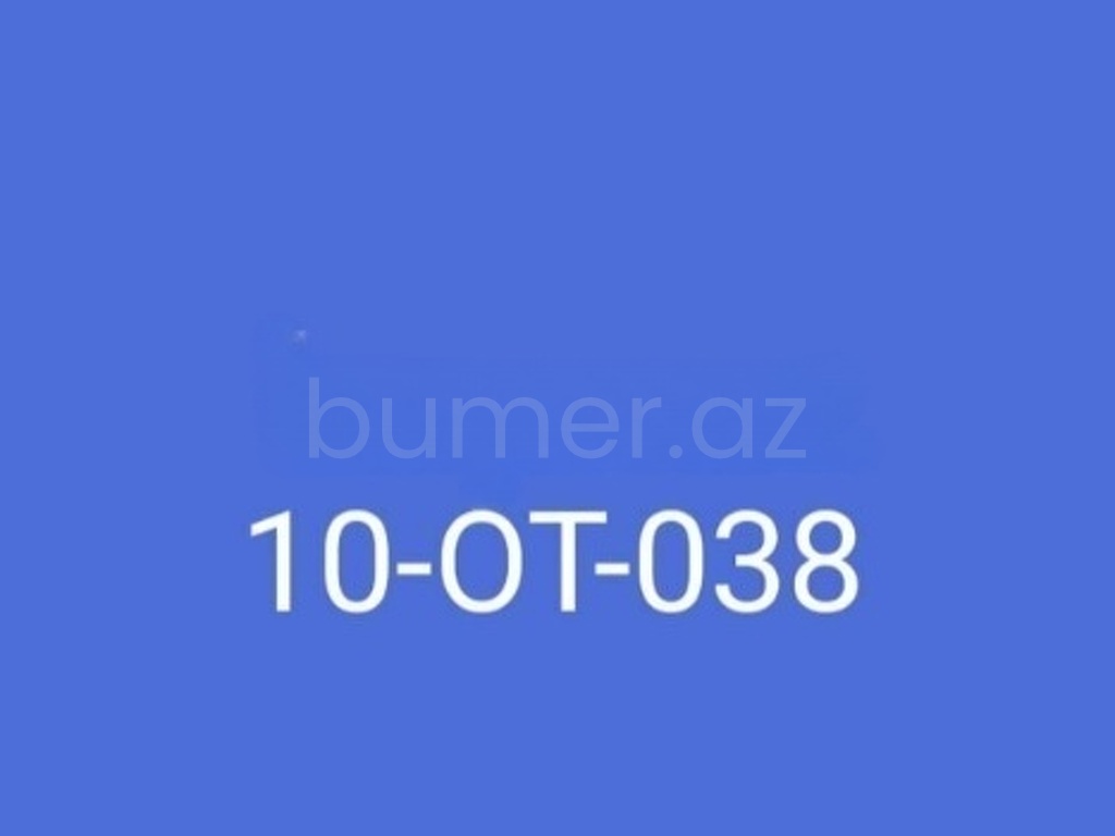 10-OT-038