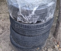 Şinlər və disklər