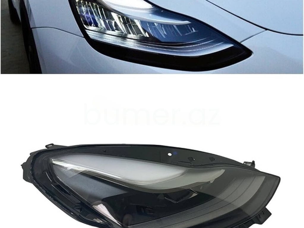 Ban-Kuza hissələr Tesla