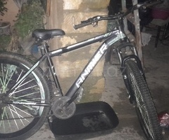 Velosiped