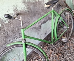 Velosiped