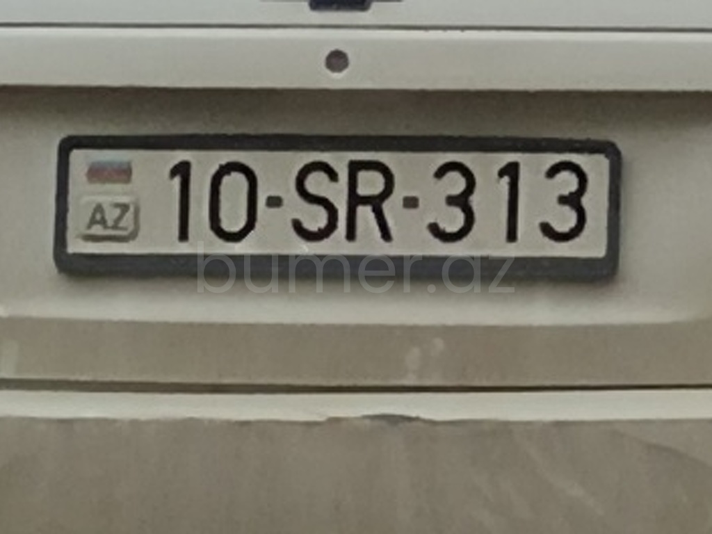 10-SR-313