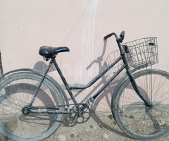 Velosiped