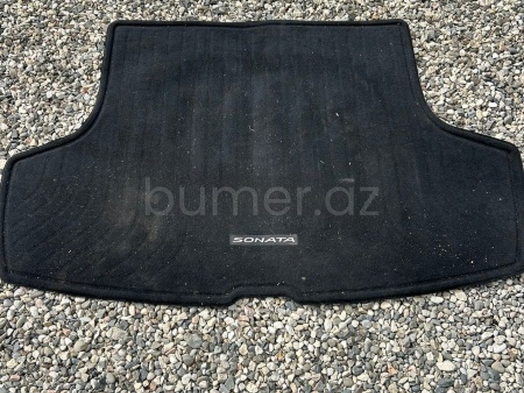 Ban-Kuza hissələr Hyundai