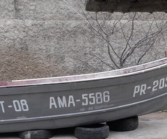 Taxda qayıq, 2023