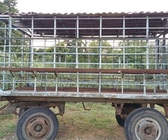 Arı vaqonu, 2020